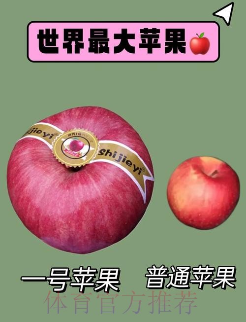 世界杯滚球苹果全站